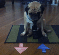Google Ads vs. Meta Ads